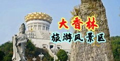 黄色一级美女花AAA中国浙江-绍兴大香林旅游风景区